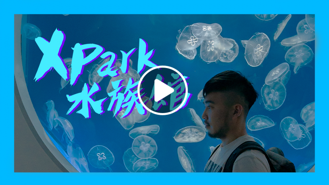 桃園八景島水族館Xpark開箱｜馬丁出去玩