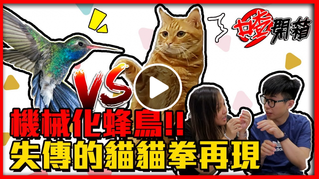【喳開箱#92】跟貓咪玩遙控高科技 一小時後竟然被...!?｜MetaFly 遙控飛行機械蜂鳥 @魚乾