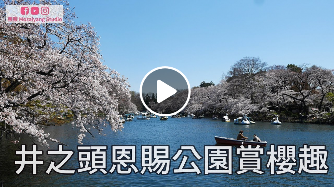 2019東京小旅行Vlog｜熱門賞櫻景點井之頭恩賜公園